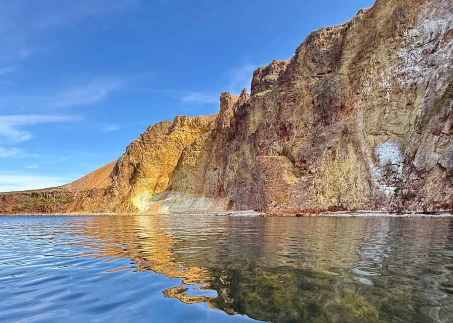 Neskaupstaður: RIB Boat Tour with Drink - Why This Tour Offers Real Value