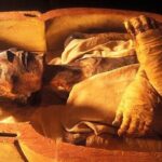 New Civilization Museum Tour (Royal Mummies) - Why This Tour Offers Great Value