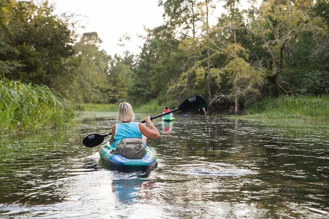New Orleans Bayou Adventure: Kayak Rental - The Scenic Route: What to Expect on Cane Bayou