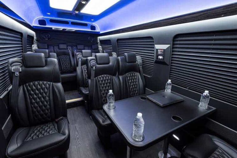 New Orleans: Party Bus Experience - Practical Tips and Considerations