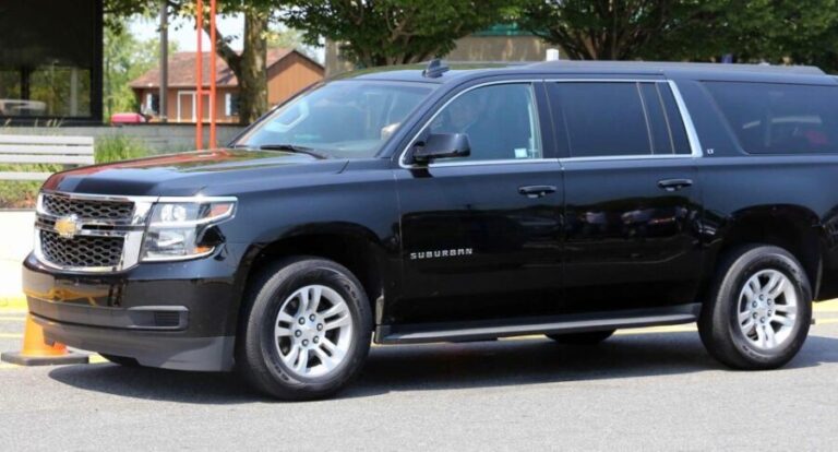 New Orleans: Private Airport Transfer - Who Would Love This Service?