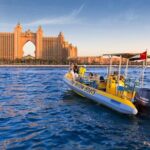 New Year's Eve Tour Special - The Experience in Detail: What Makes It Special