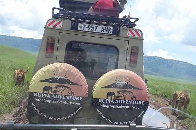 Ngorongoro Crater Day Trip - Practical Tips for Travelers