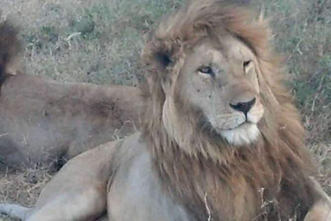 Ngorongoro, Manyara and Tarangire tour - Why Travelers Love This Tour