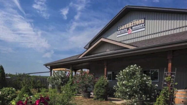 Niagara Falls: Public Niagara Wine Tour with Transportation - Key Points