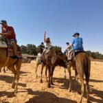 Night excursion to the desert and Berber village from Djerba - Who Should Consider This Tour?