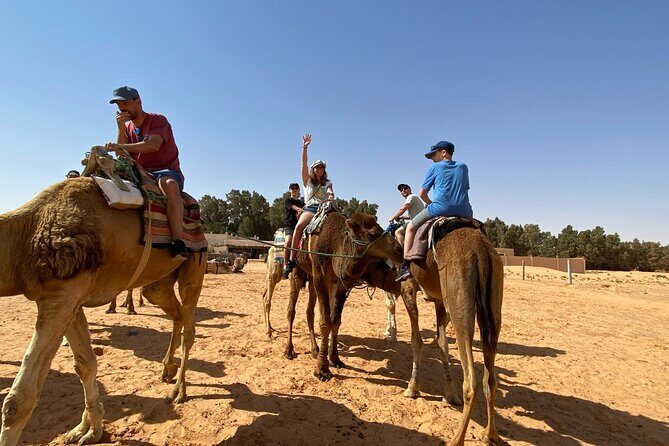 Night excursion to the desert and Berber village from Djerba - Who Should Consider This Tour?
