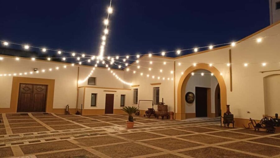 Night tour of historic winery and wine tasting with Sicilian cuisine - Who Will Love This Experience?