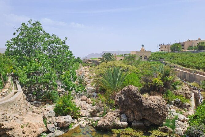 Nizwa and Jebel Akhdar - Practical Details and What to Expect