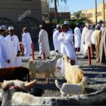Nizwa Friday Market Jabal Chams - Final Thoughts on the Experience