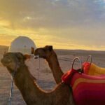 Nomad desert dinner camel ride & bonfire : Marrakech activity - Practical Details Before You Book