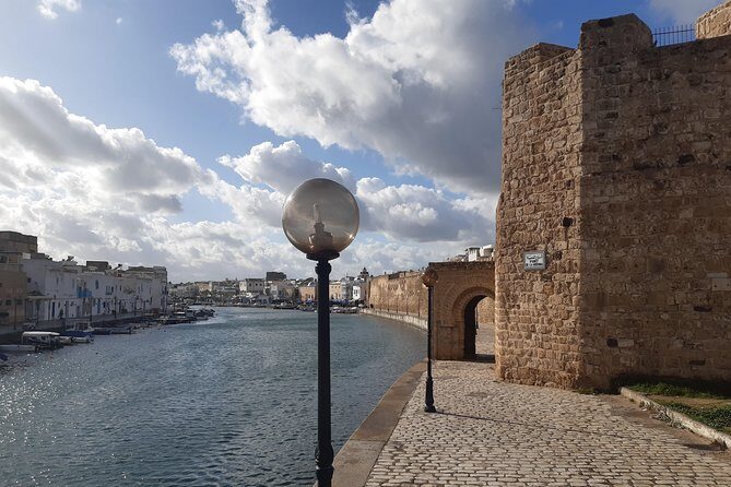 North Africa Tour Bizerte Cape Angela and Ichkeul Unesco park - Transportation and Overall Experience