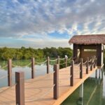 North and West of Qatar Full Day Private Tour - Who Is This Tour Best For?