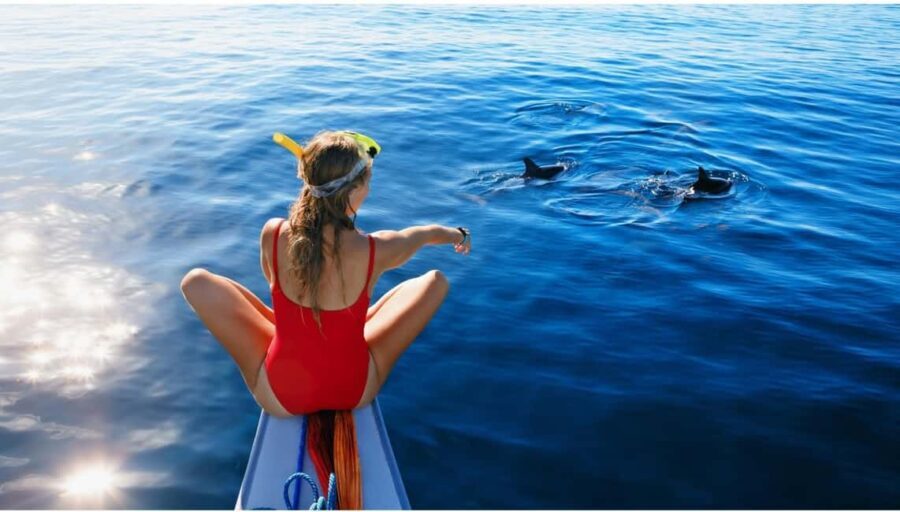 North Coast Dolphins Sunrise Adventure Tour - The Value and Practicality of the Tour