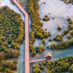 North of Qatar Tour, Zubara Fort, Mangroves, Jumail Village - Who Will Appreciate This Tour?