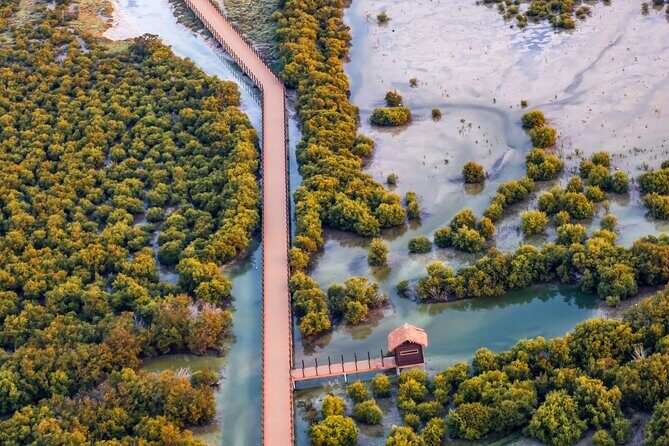 North of Qatar Tour, Zubara Fort, Mangroves, Jumail Village - Who Will Appreciate This Tour?