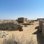 North Qatar Guided Expedition to Nature Charms - Practical Details and What to Expect