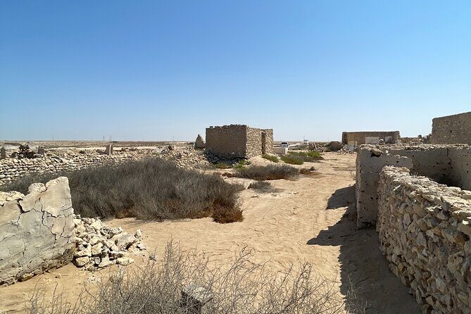 North Qatar Guided Expedition to Nature Charms - Practical Details and What to Expect