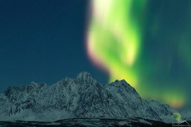 Northern Lights by Minibus. Photos Under the Lights included. Tromso - Final Thoughts