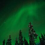 Northern Lights Reindeer Sledge Ride - Practical Details and Value