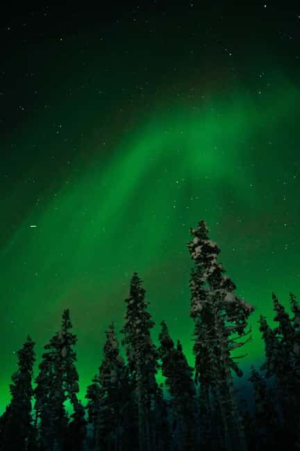 Northern Lights Reindeer Sledge Ride - Practical Details and Value