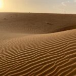 Nouakchott Explorer: Private Capital Tour - Who Will Enjoy This Tour?