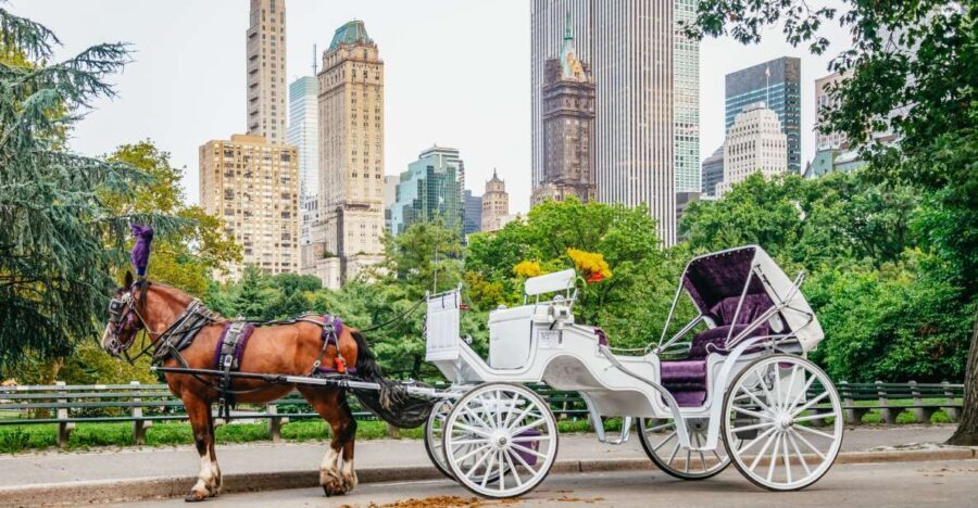 NYC: Guided Central Park Horse Carriage Ride - Who Should Consider This Experience?