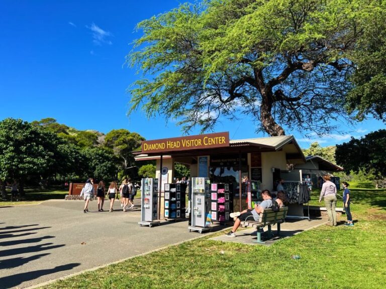 Oahu: Diamond Head Crater Trailhead Transfer & Entry Fee - The Experience: What You Can Expect