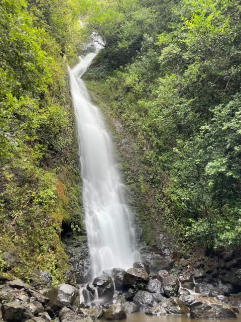 Oahu: Hidden Hawaii Waterfall Hike and Beach Tour - Why This Tour Offers Great Value