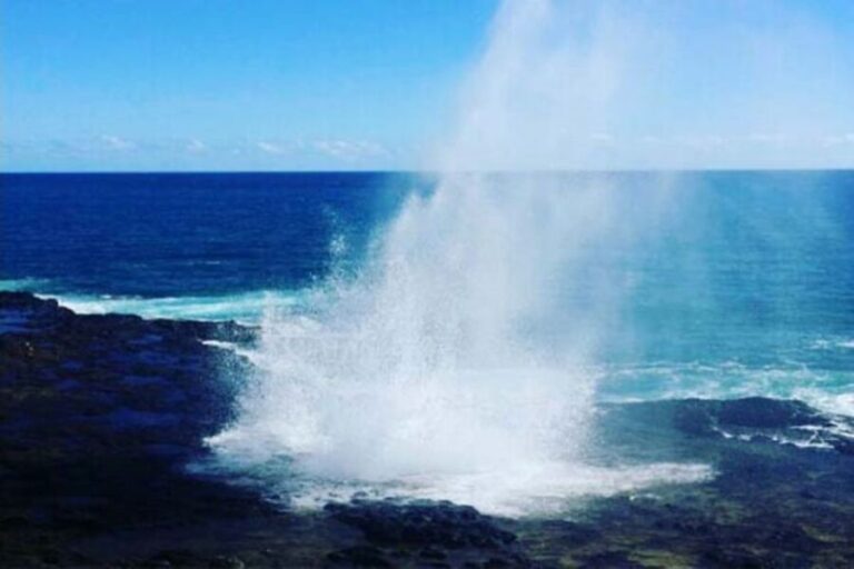 Oahu to Kauai: Napali Coast Helicopter Tour & Waimea Canyon - The Itinerary: What You’ll See and Experience