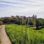 Óbidos: E-Bike Tour to Quinta do Gradil with Wine Tasting - Who Will Love This Tour?