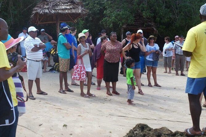 Ocean safari tour - FAQ