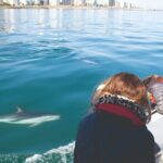 Ocean Wildlife Encounter in Cape Town - The Itinerary in Detail: What You Can Expect