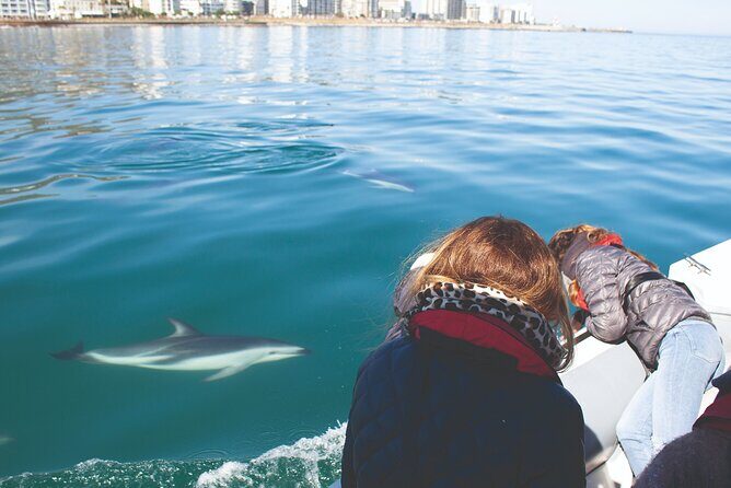 Ocean Wildlife Encounter in Cape Town - The Itinerary in Detail: What You Can Expect