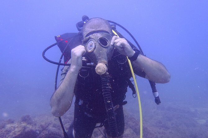 Octopus Rock Exploration - Certified Diver - The Marine Life and Ecosystem at Octopus Rocks