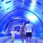 Official Account: Hurghada Grand Aquarium Entrance Tickets - Who Should Consider This Tour?