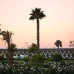 Official Taxi in Marrakech: Airport Arrival & Departure - Booking & Price Analysis