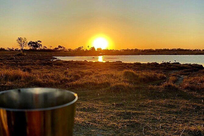 Okavango Delta Day Trip - What Makes This Tour Offer Great Value?