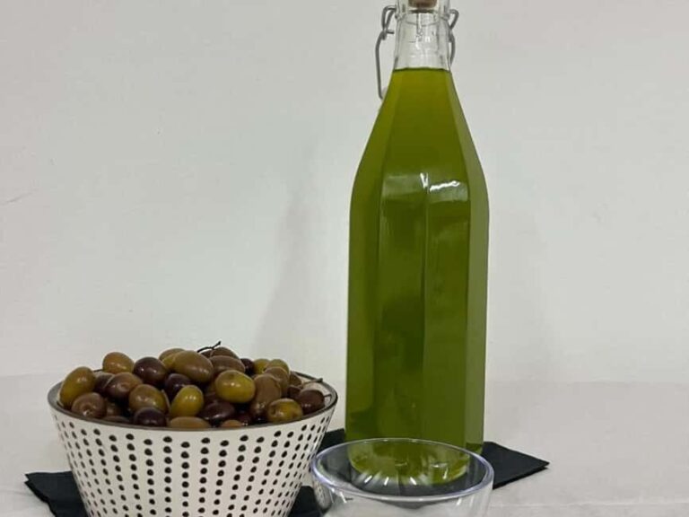 Olive Mill Visit & Guided Tasting in Taggia - Learning About Taggiasca Olives and Olive Oil Production