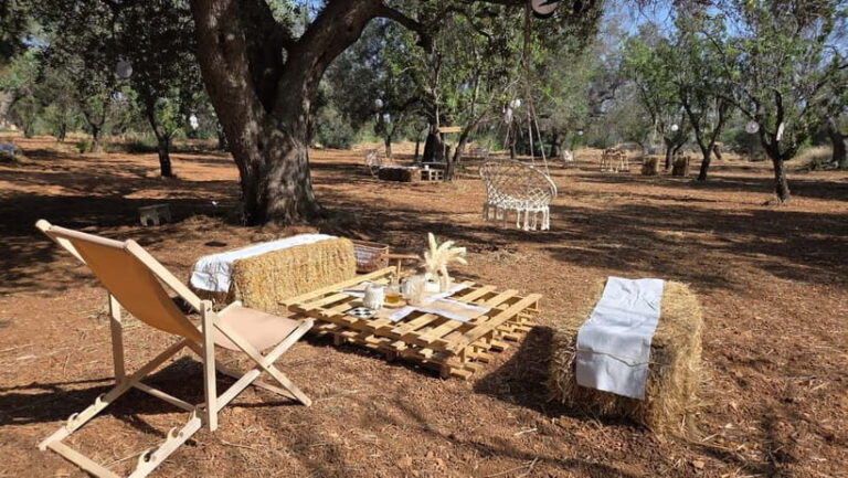 Olive Oil and almond Tour and Tasting: Brindisi, Ostuni - Exploring the Tour Itinerary: What You Can Expect