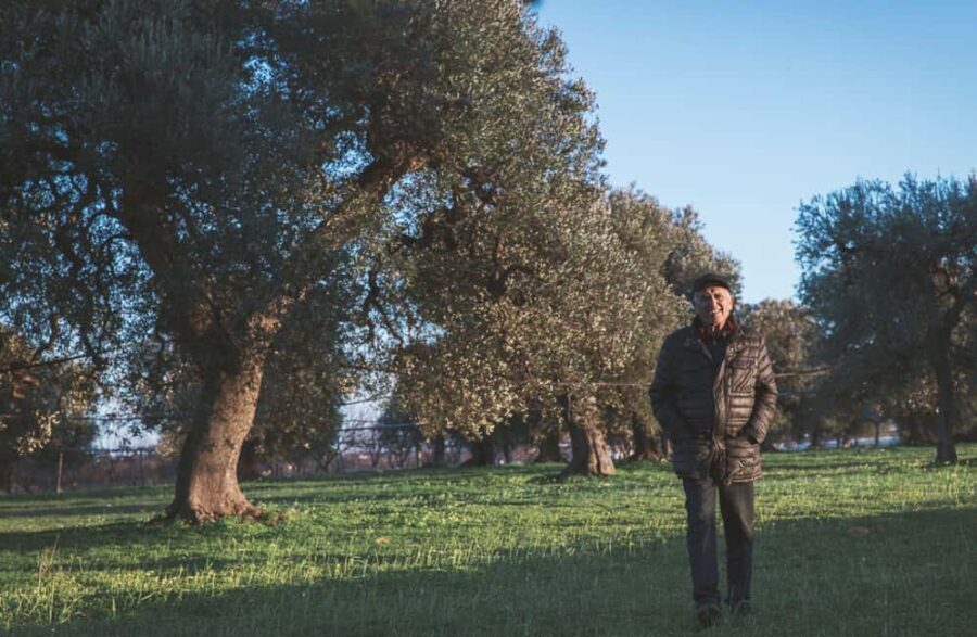 Olive Oil Mill Tour with Tasting and Gift near Bari - Tasting and Taking Home a Taste of Puglia