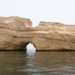 Oman Dolphin Watching Tours - An In-Depth Look at the Experience