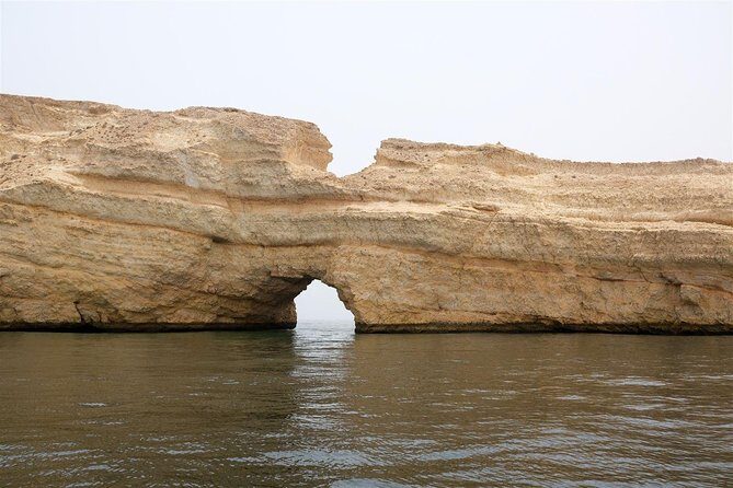 Oman Dolphin Watching Tours - An In-Depth Look at the Experience