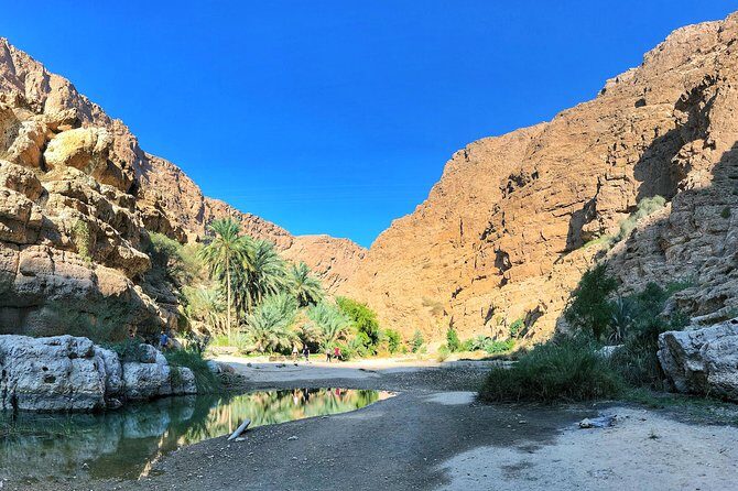 Oman Explorer: City, Wadis, and Desert 5-Day Adventure - Why This Tour Offers Great Value