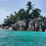 Omnibus service in Seychelles - Why This Service Stands Out