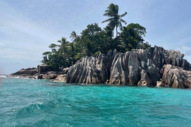 Omnibus service in Seychelles - Why This Service Stands Out