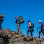 One Day Hike from Kilimanjaro to Mandara - Starting Point and Transportation