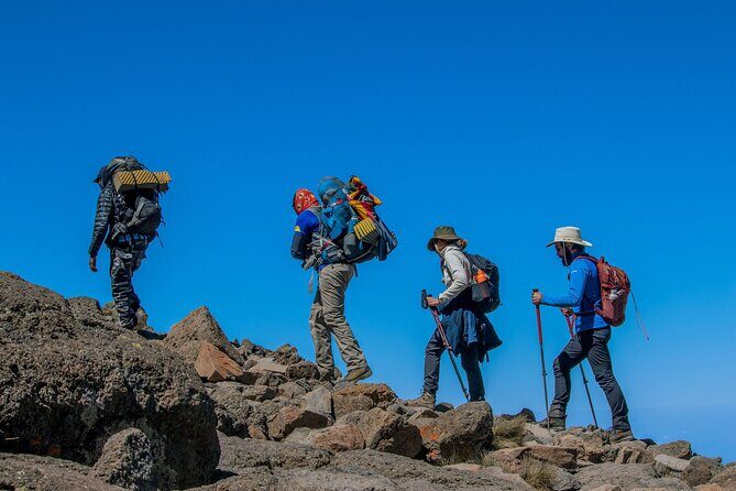 One Day Hike from Kilimanjaro to Mandara - Starting Point and Transportation