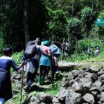 One Day Mount Bisoke Hike Adventure Tour in Volcanoes Park - Reviews and Authentic Insights