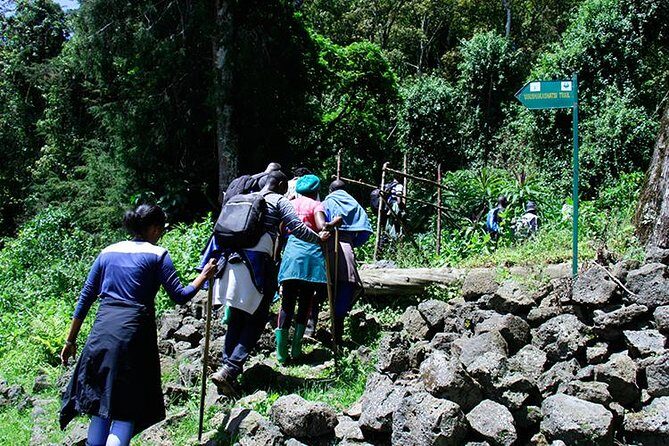 One Day Mount Bisoke Hike Adventure Tour in Volcanoes Park - Reviews and Authentic Insights